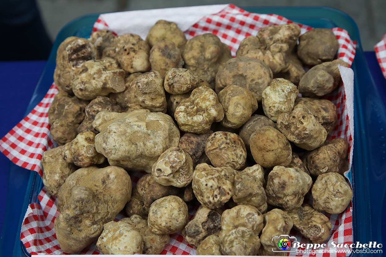 VBS_6947 - Fiera dei Santi - 12.ma Fiera Nazionale del Tartufo.jpg